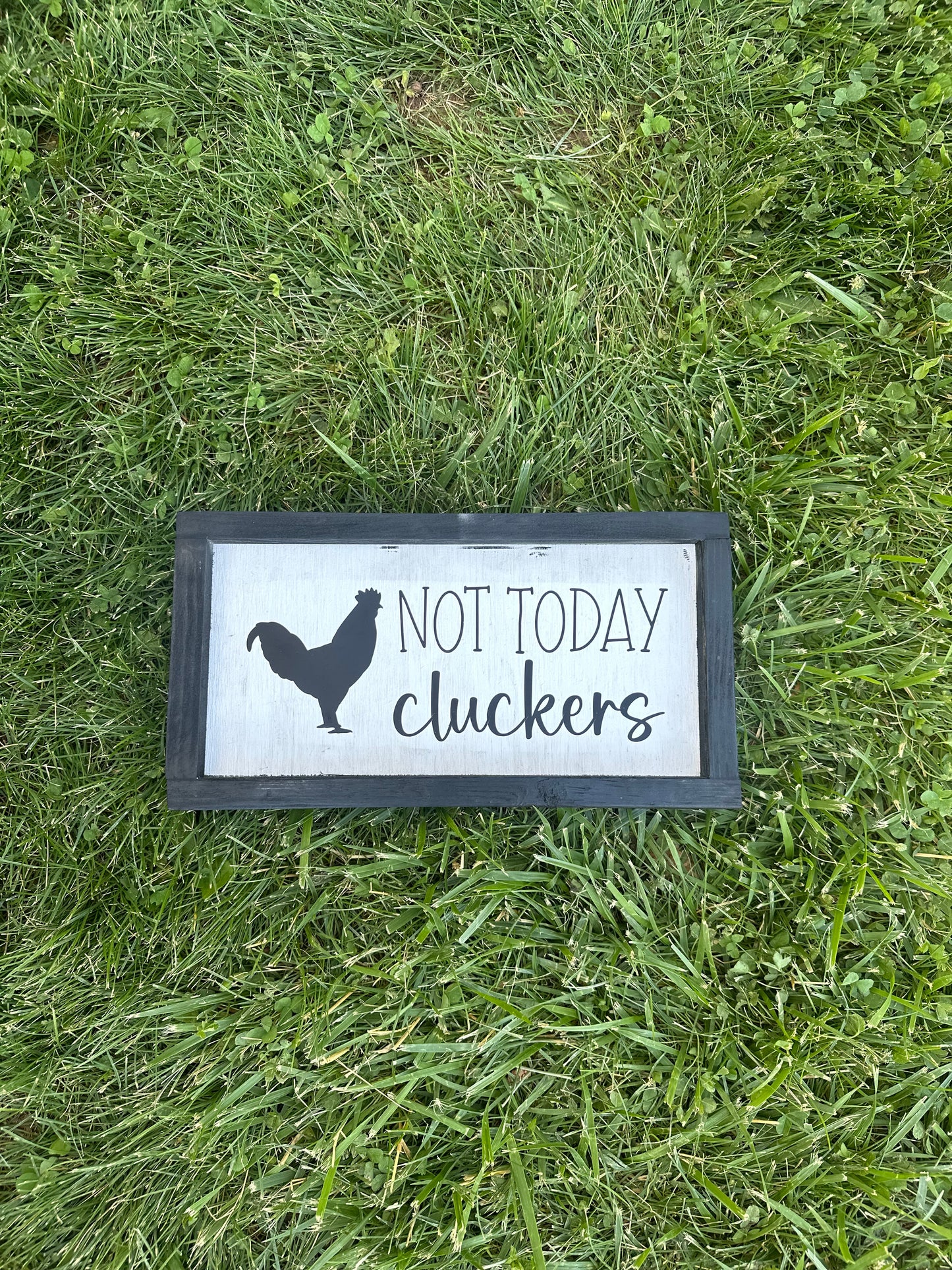not today cluckers
