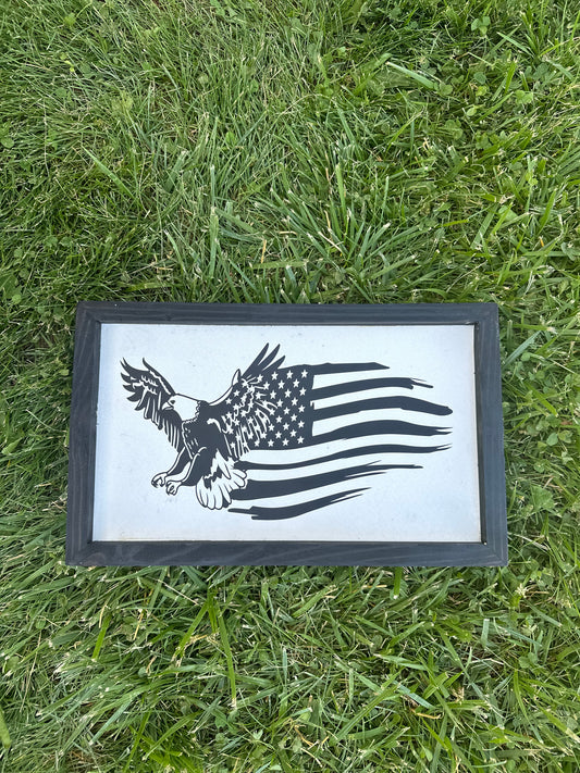 eagle + flag